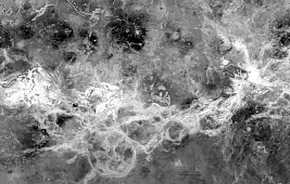 Земля Афродиты на Венере: скорпион, обращенный на запад