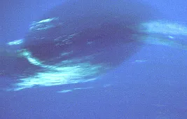 Большое Темное Пятно на Нептуне