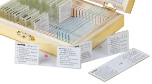 Набор микропрепаратов Konus 15: «Размножение беспозвоночных», изображение 4