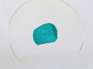 Набор микропрепаратов Konus 10: «Рыбы, лягушки и другие земноводные», изображение 6