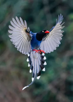 Фототелескоп Levenhuk Kelvin MAK90 AZ GOTO Wi-Fi, изображение 5