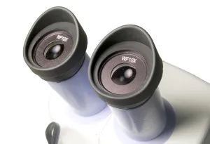 Микроскоп Levenhuk 5ST, бинокулярный, изображение 6