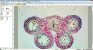 Видеоокуляр ToupCam 14 Мпикс, изображение 8