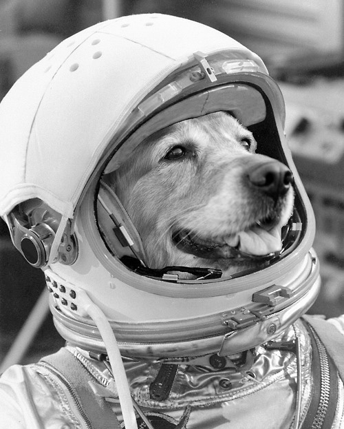 «Спутник-7»: космический аппарат, не вышедший на орбиту «Спутник-7»: космический аппарат, не вышедший на орбиту